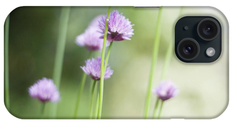Purple iPhone Case featuring the photograph Chive Allium Schoenoprasum, Close-up by David Dear
