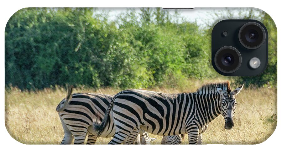 Zebra iPhone Case featuring the photograph Chobe Zebras by Douglas Wielfaert