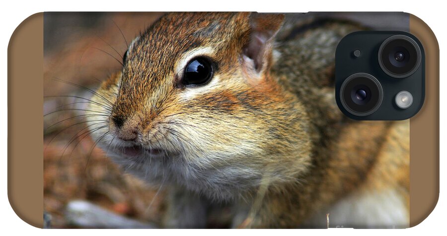 Chipmunk iPhone Case featuring the photograph Chubby Cheeks by Jane Axman
