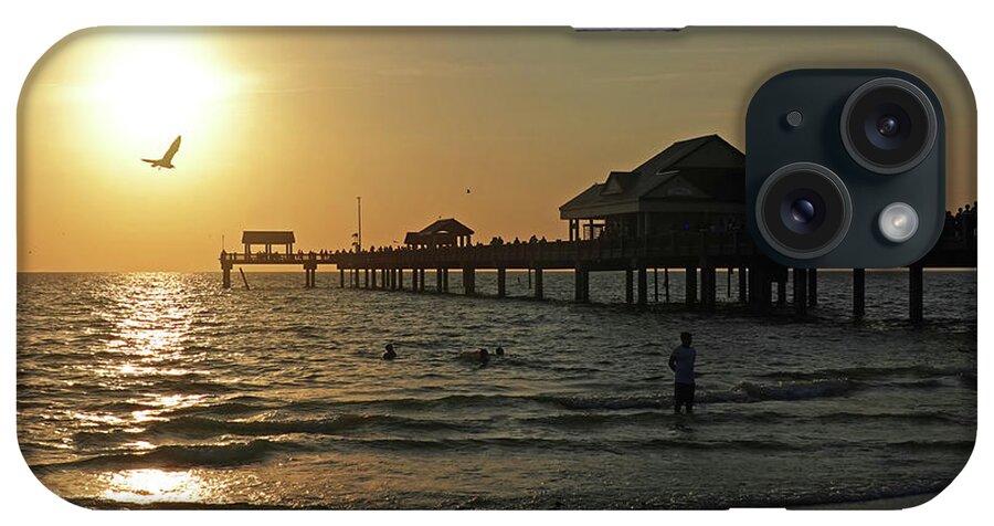 Clearwater iPhone Case featuring the photograph Clearwater Florida Sunset at the Pier FL Seagull by Toby McGuire