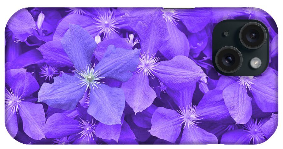 Arbors iPhone Case featuring the photograph Clematis by JAMART Photography