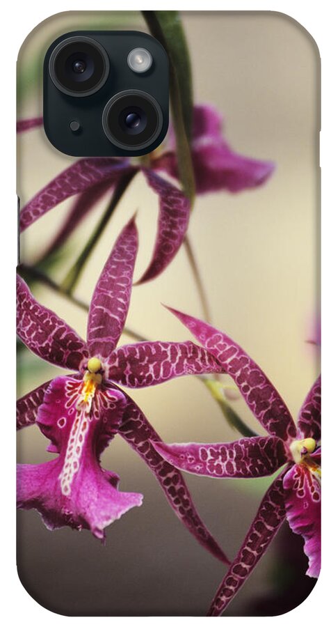 Purple iPhone Case featuring the photograph Close-up Of A Branch Of Pink Spotted by Design Pics/allan Seiden