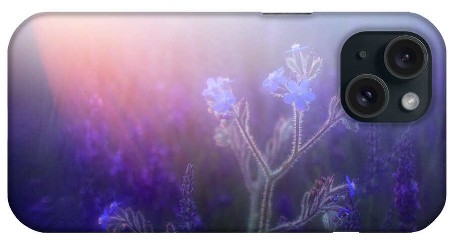 Province iPhone Case featuring the photograph Close-up Of Lavender In Field by David Santiago Garcia