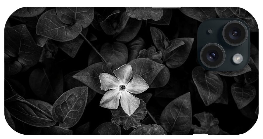 Photography iPhone Case featuring the photograph Close-up Of Periwinkle Flowers by Panoramic Images