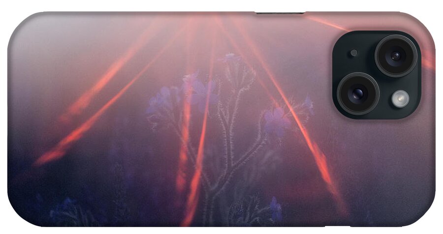 Production iPhone Case featuring the photograph Close-up Shot Of Lavender Field by David Santiago Garcia