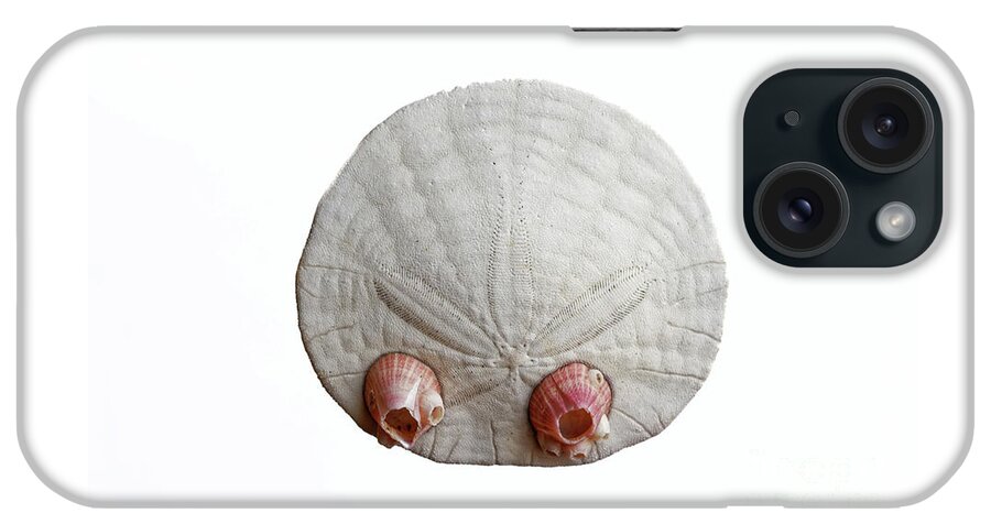 Close Up iPhone Case featuring the photograph Closeup Eccentric Sand dollar Dendraster ecentricus Dalls acorn by Robert C Paulson Jr