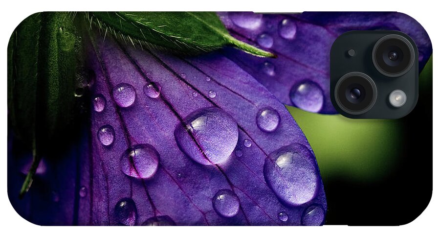 Purple iPhone Case featuring the photograph Closeup Of Purple Flower by Florence Barreau