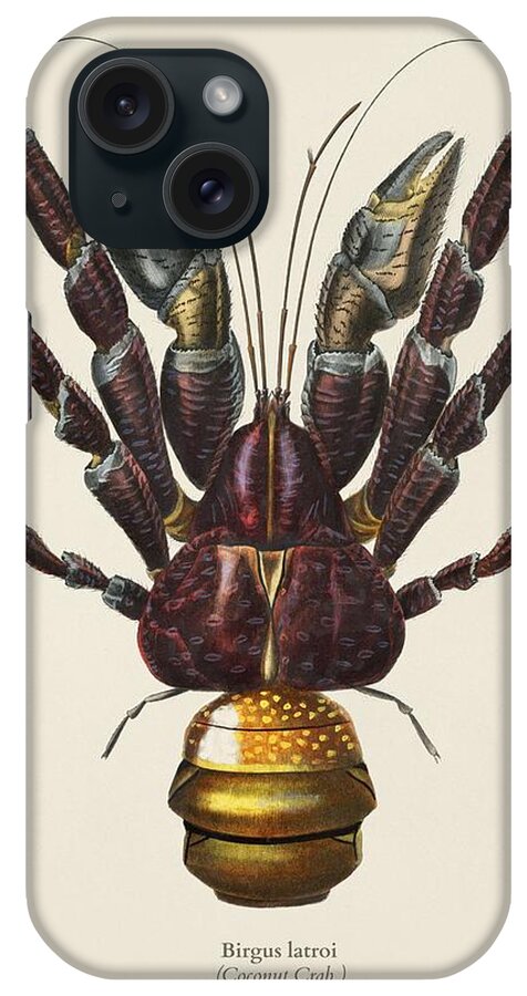 Bee iPhone Case featuring the painting Coconut Crab Birgus latroi illustrated by Charles Dessalines D' Orbigny 1806-1876 by Celestial Images