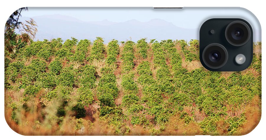 Kenya iPhone Case featuring the photograph Coffee Plantation, Kenya by Ivanmateev