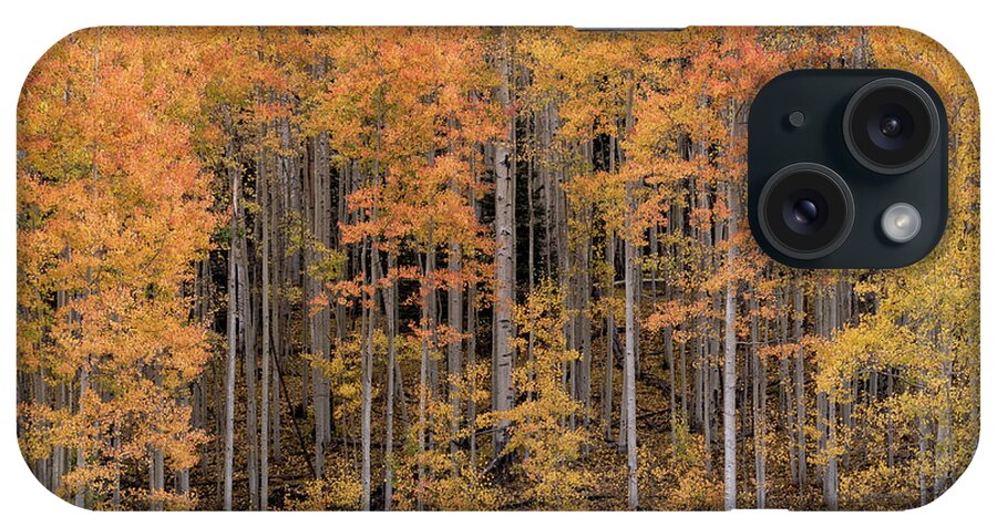 Aspens iPhone Case featuring the photograph Colorado Guardians by Angela Moyer