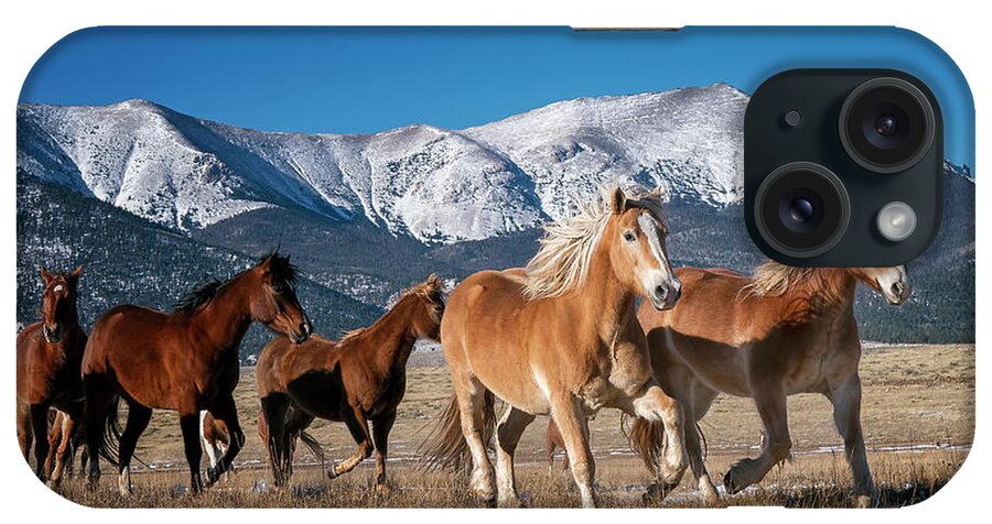 Horse iPhone Case featuring the photograph Colorado Horses 2 by David Soldano