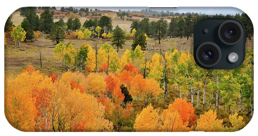 Ouray iPhone Case featuring the photograph Colorful Aspens above Ridgway Colorado by Ray Mathis
