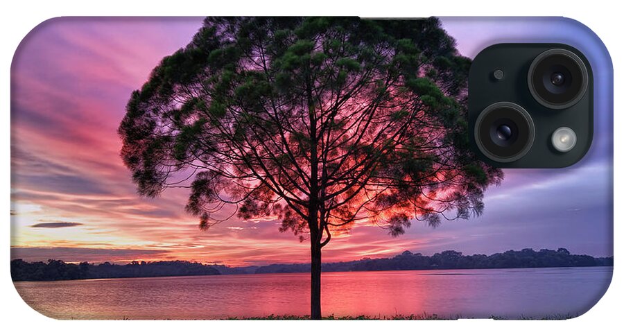 Scenics iPhone Case featuring the photograph Colorful Light Seen Behind Tree by Pang Tze Ru