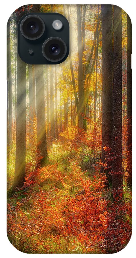 Nag005219 iPhone Case featuring the photograph Colours of Nature 02 by Edmund Nagele FRPS