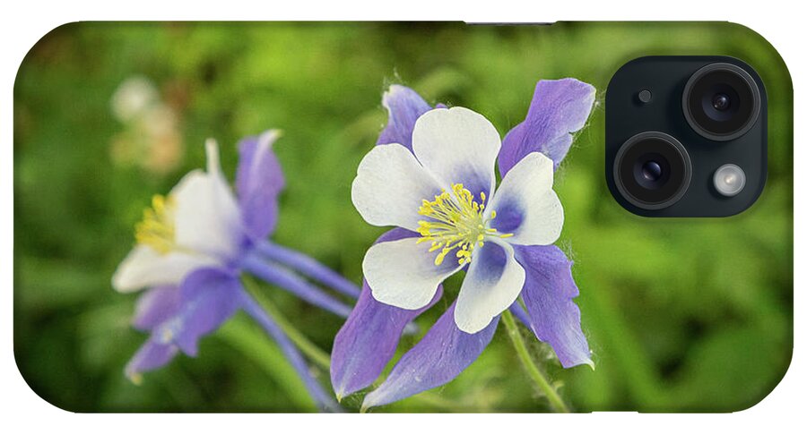 Flower iPhone Case featuring the photograph Columbines in the Forest by Tony Hake