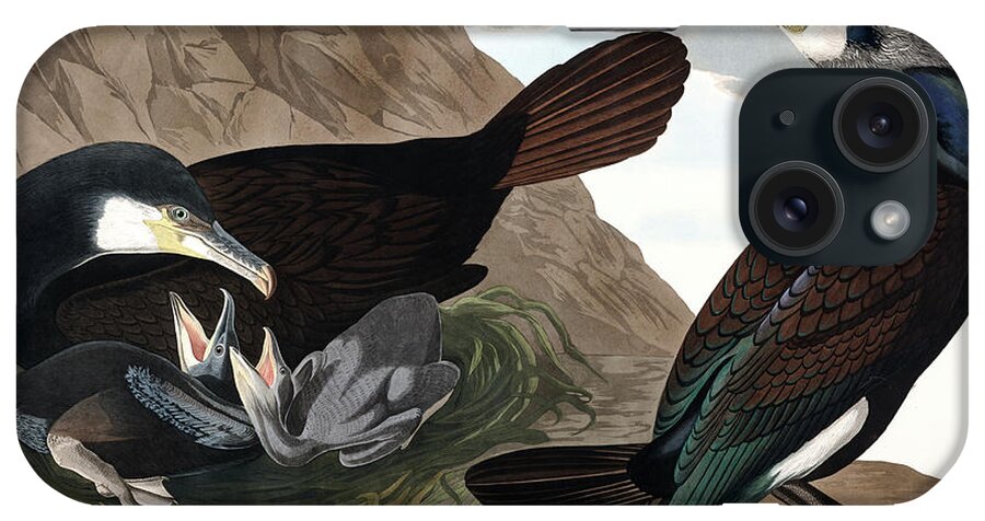 Cormorants iPhone Case featuring the painting Common Cormorant, Phalacrocorax Carbo by Audubon by John James Audubon