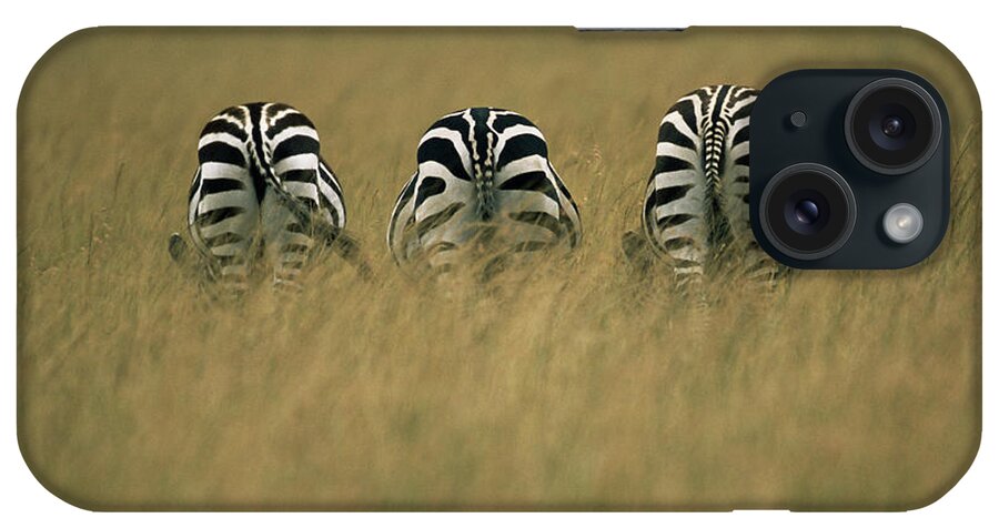 Kenya iPhone Case featuring the photograph Common Zebra Equus Quagga Eating Grass by James Warwick