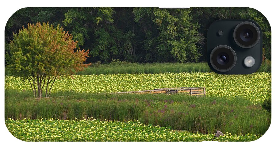 Concord iPhone Case featuring the photograph Concord MA Great Meadow Walkway Tree Lotus Bloom by Toby McGuire