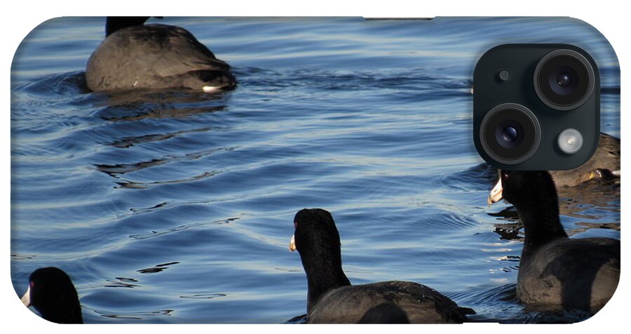 Coots iPhone Case featuring the photograph Coots by Adrienne Wilson