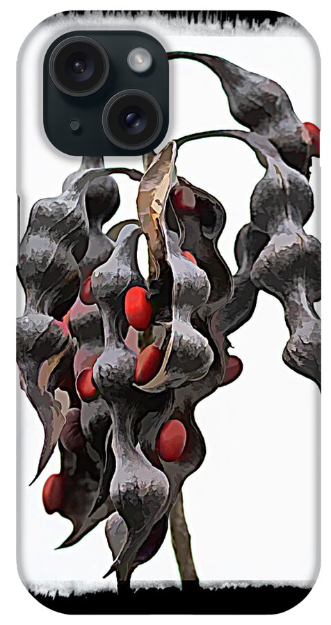 Coral Bean Pods And Red Seeds iPhone Case featuring the photograph Coral Bean Pods and Red Seeds Digital Art Photography by Debra Martz