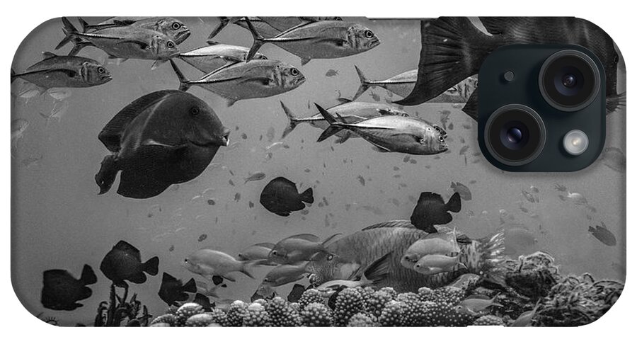 Disk1215 iPhone Case featuring the photograph Coral Reef Diversity by Tim Fitzharris