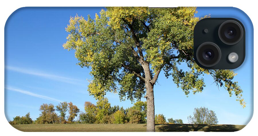Landscape iPhone Case featuring the photograph Cottonwood Tree-horizontal by Dlerick