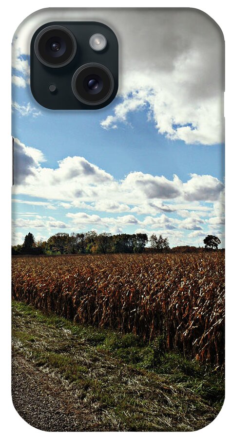 Country Autumn Curves iPhone Case featuring the photograph Country Autumn Curves 2 by Cyryn Fyrcyd