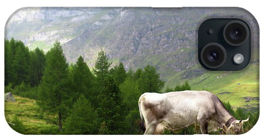 Scenics iPhone Case featuring the photograph Cow In A Pasture by Moreiso