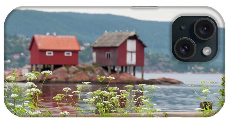 Grass iPhone Case featuring the photograph Cow Parsley At The Coast by Martin Wahlborg