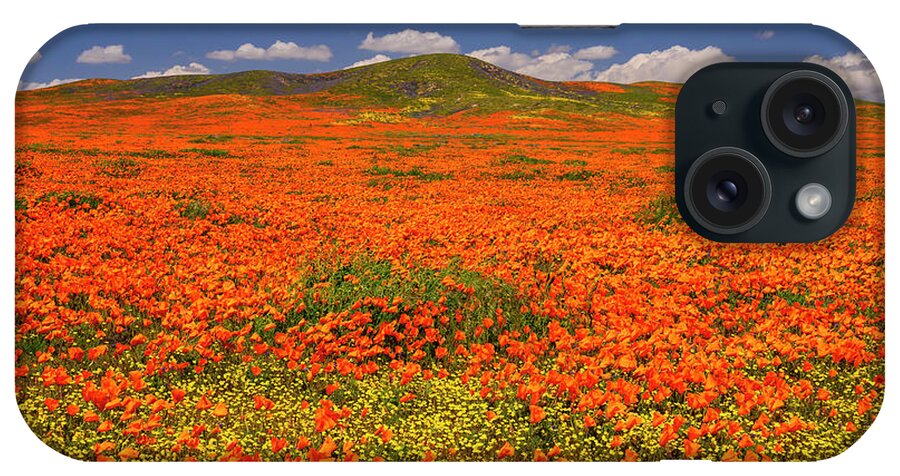 Crazy Bloom iPhone Case featuring the photograph Crazy Bloom by Michael Blanchette Photography