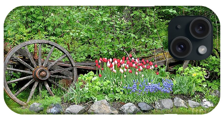 Diane Berry iPhone Case featuring the photograph Custom Girdwood Garden Alaska by Diane E Berry