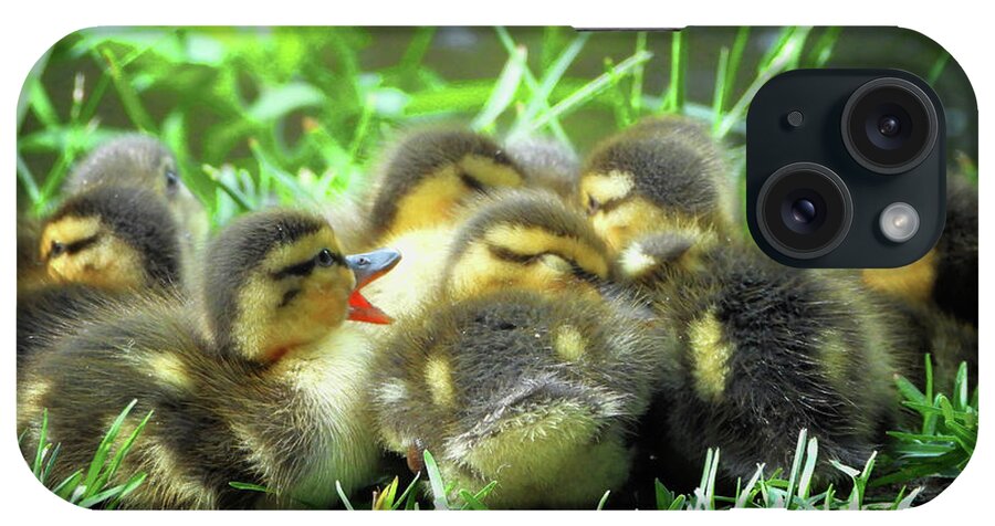 Cute iPhone Case featuring the photograph Cute Baby Mallard Ducklings by Scott Cameron
