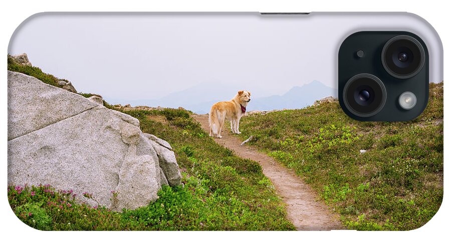 Pup iPhone Case featuring the photograph Cute Dog In The North Cascade Mountains Of Washington State by Cavan Images