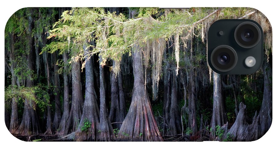 Caddo Lake iPhone Case featuring the photograph Cypress Bank by Lana Trussell