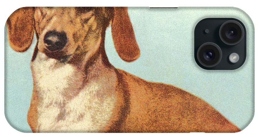 Animal iPhone Case featuring the drawing Dachshund Dog by CSA Images