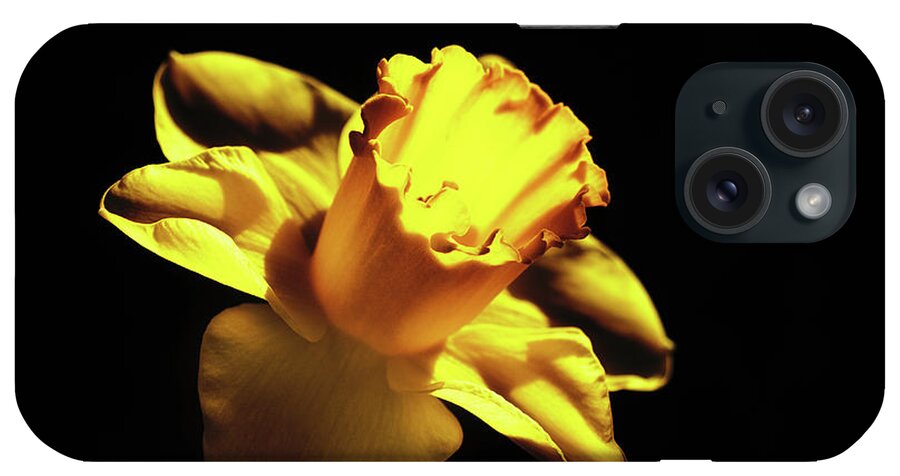 Flower iPhone Case featuring the photograph Daffodil In Darkness by Sue Capuano