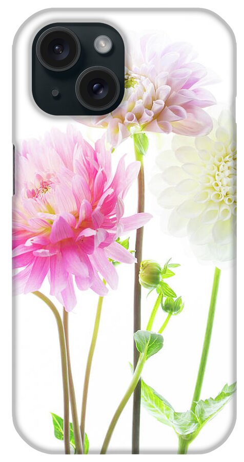 Dahlia iPhone Case featuring the photograph Dahlia Bouquet by Rebecca Cozart