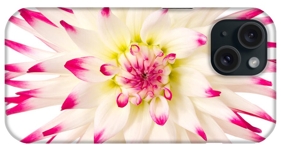 White Background iPhone Case featuring the photograph Dahlia by Vidok
