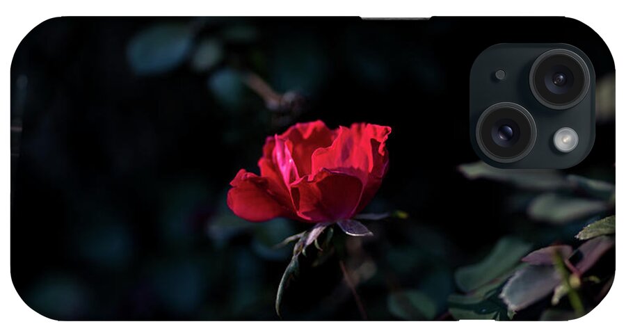 Halloween iPhone Case featuring the photograph Damp Rose After a Rain by James-Allen