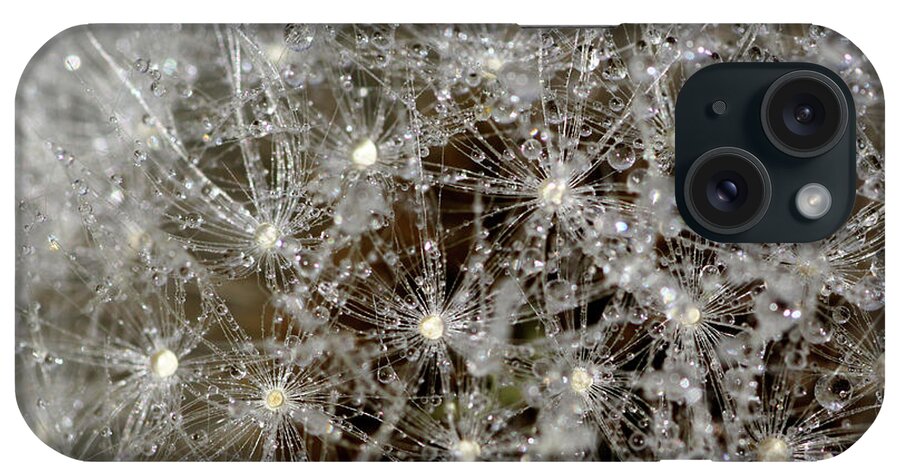 Dandelion Head iPhone Case featuring the photograph Dandelion macro by Martin Smith