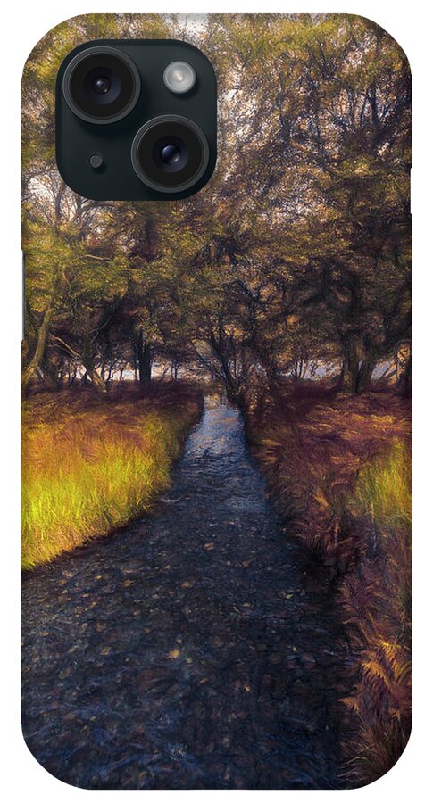 Clouds iPhone Case featuring the photograph Dark Irish Stream in the Fall Painting by Debra and Dave Vanderlaan