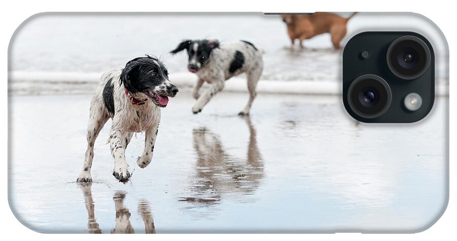 Pets iPhone Case featuring the photograph Day At The Beach by Dageldog