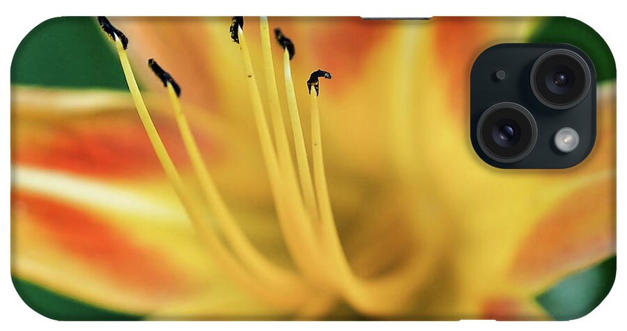 Lily iPhone Case featuring the photograph Day Lily by Jerry Connally