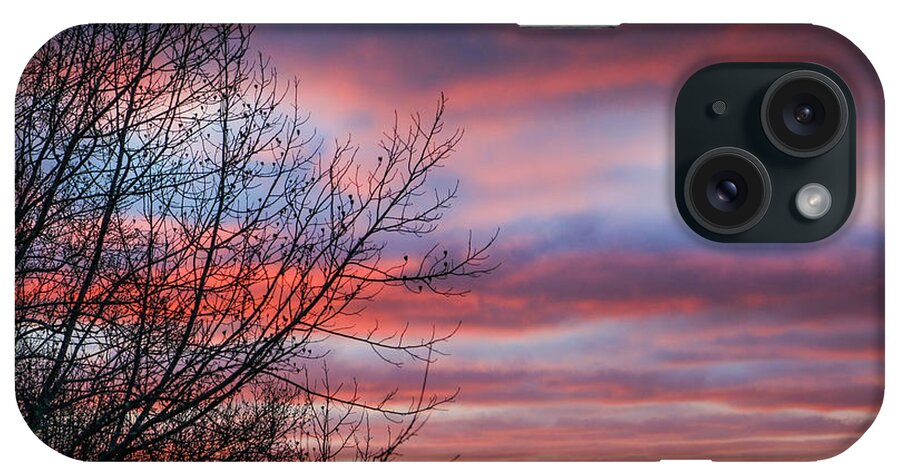 Dawn iPhone Case featuring the photograph December Dawn by Dale R Carlson