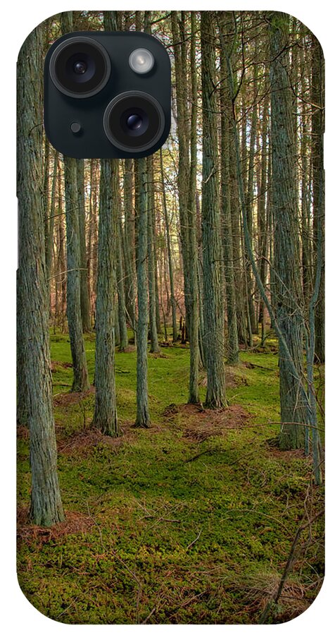 New Jersey iPhone Case featuring the photograph Deep In The Cedar Swamp by Kristia Adams