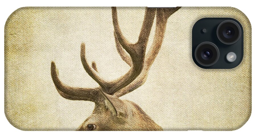 Animal Themes iPhone Case featuring the photograph Deer Watching by By Eve Livesey