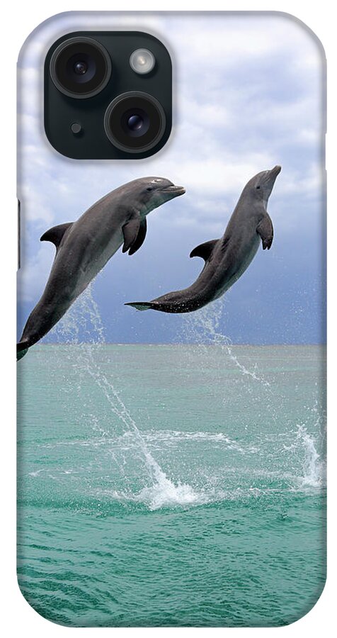 Bay Islands iPhone Case featuring the photograph Delfin Grosser Tuemmler by Tier Und Naturfotografie J Und C Sohns
