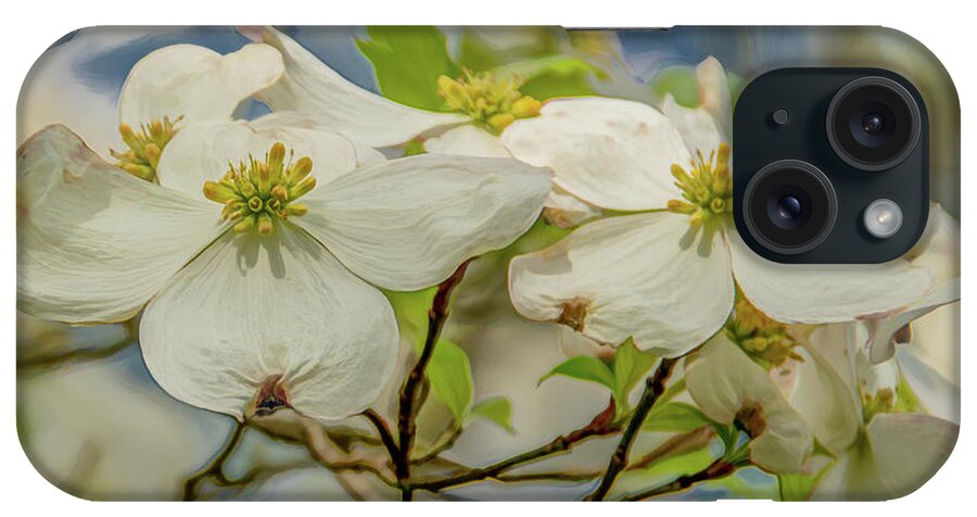 Dogwood Blossoms iPhone Case featuring the photograph Delicate Dogwoods by Marcy Wielfaert