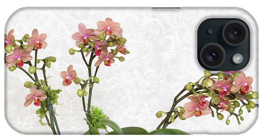 Delicate Orchids iPhone Case featuring the photograph Delicate Orchids by Patty Colabuono
