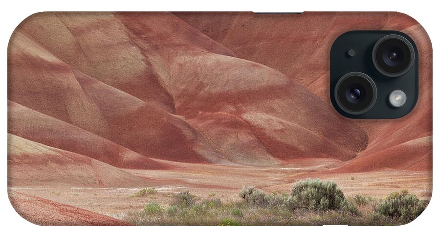 Geology iPhone Case featuring the photograph Desert Vegetation In Valley Of Rust by Michael Rainwater